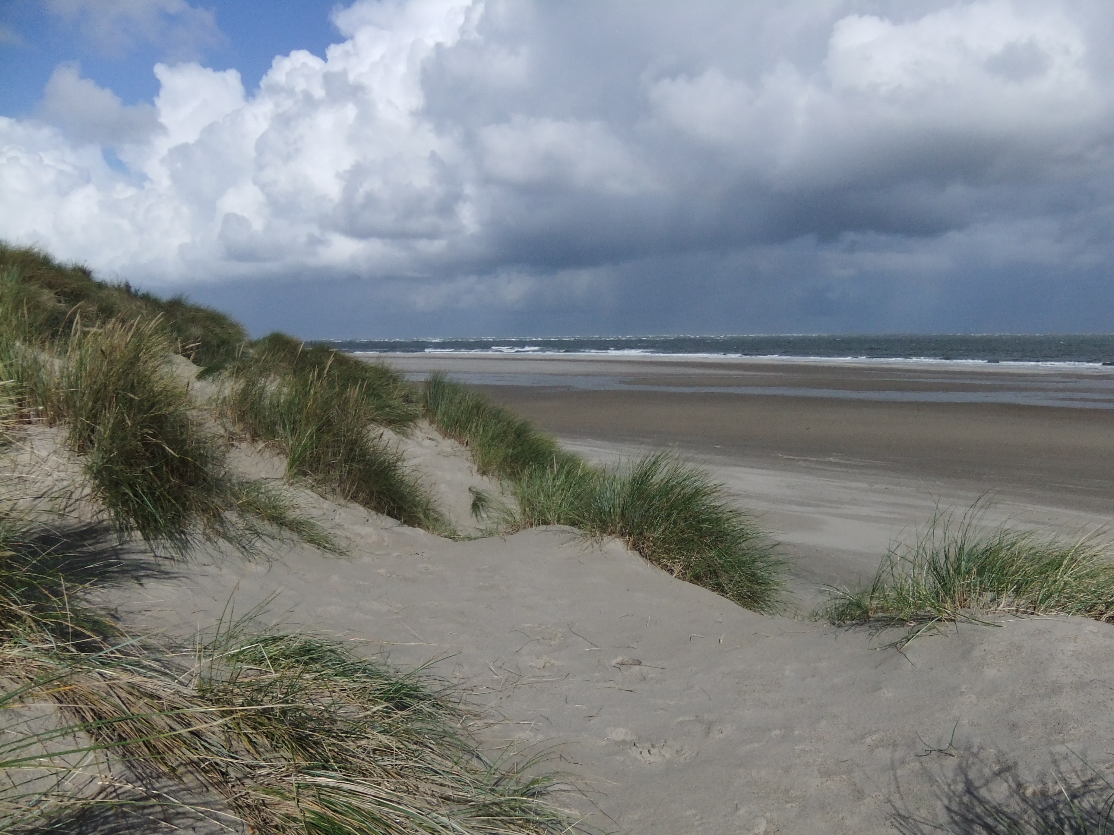 Midweek Texel – juni 2018