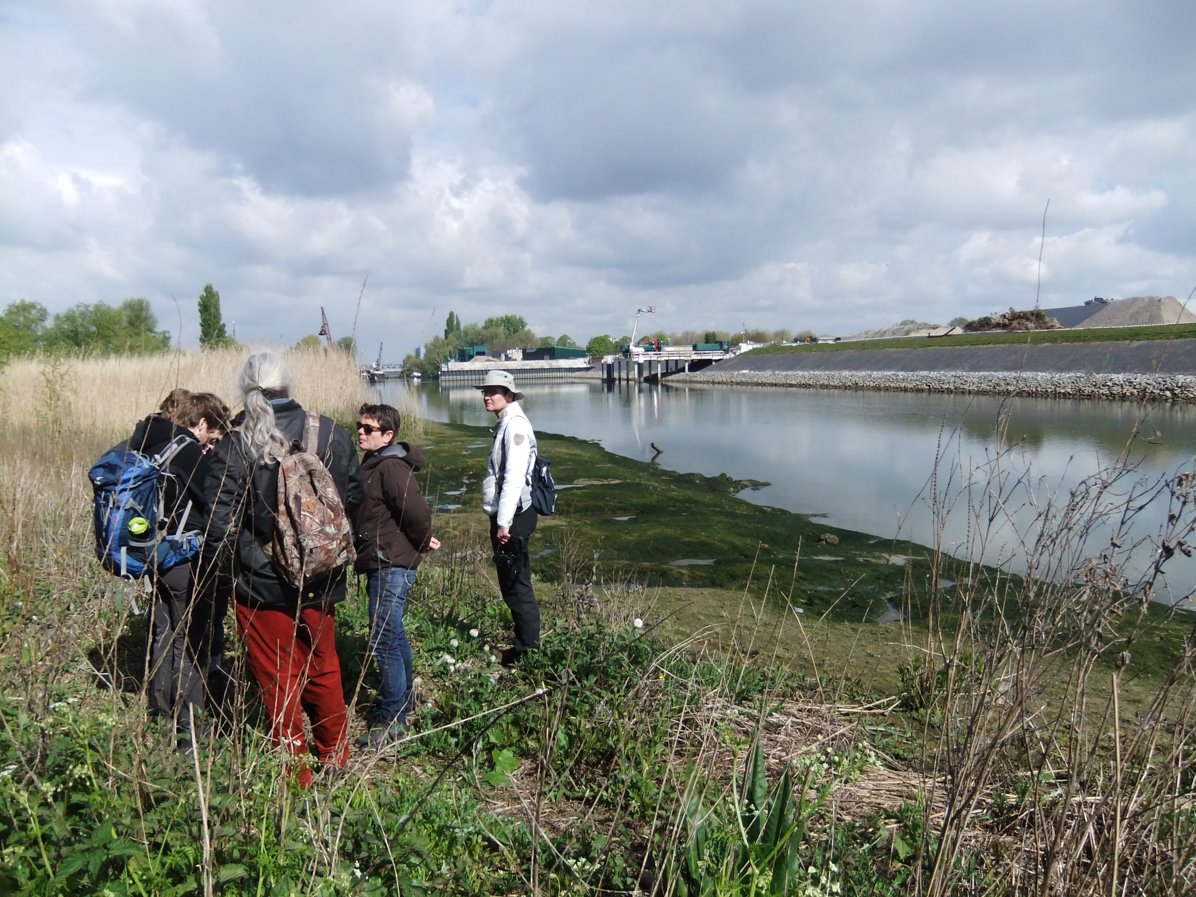 Excursie Stormpoldervloedbos – april 2017