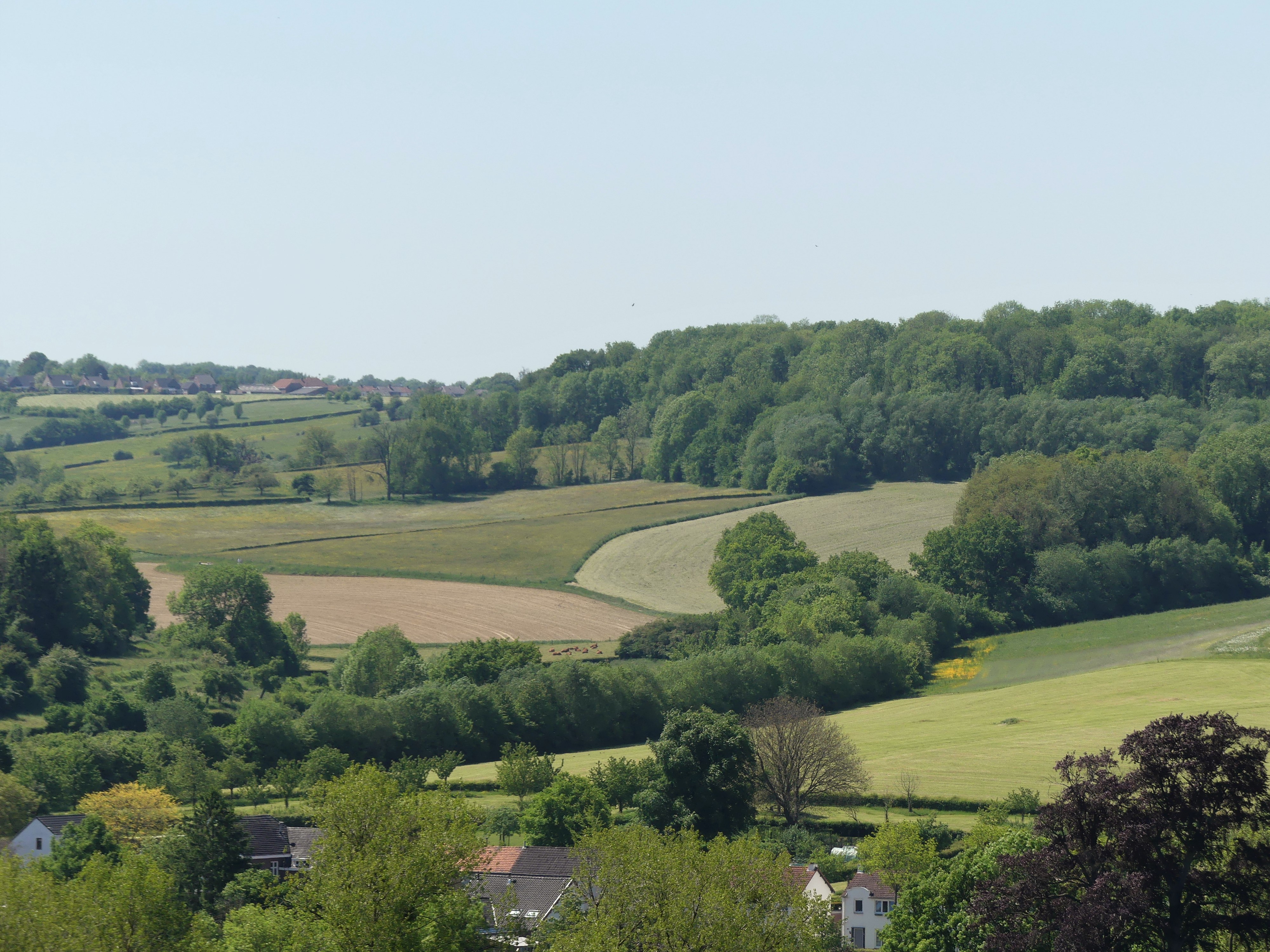 Midweek Schin op Geul – juni 2021