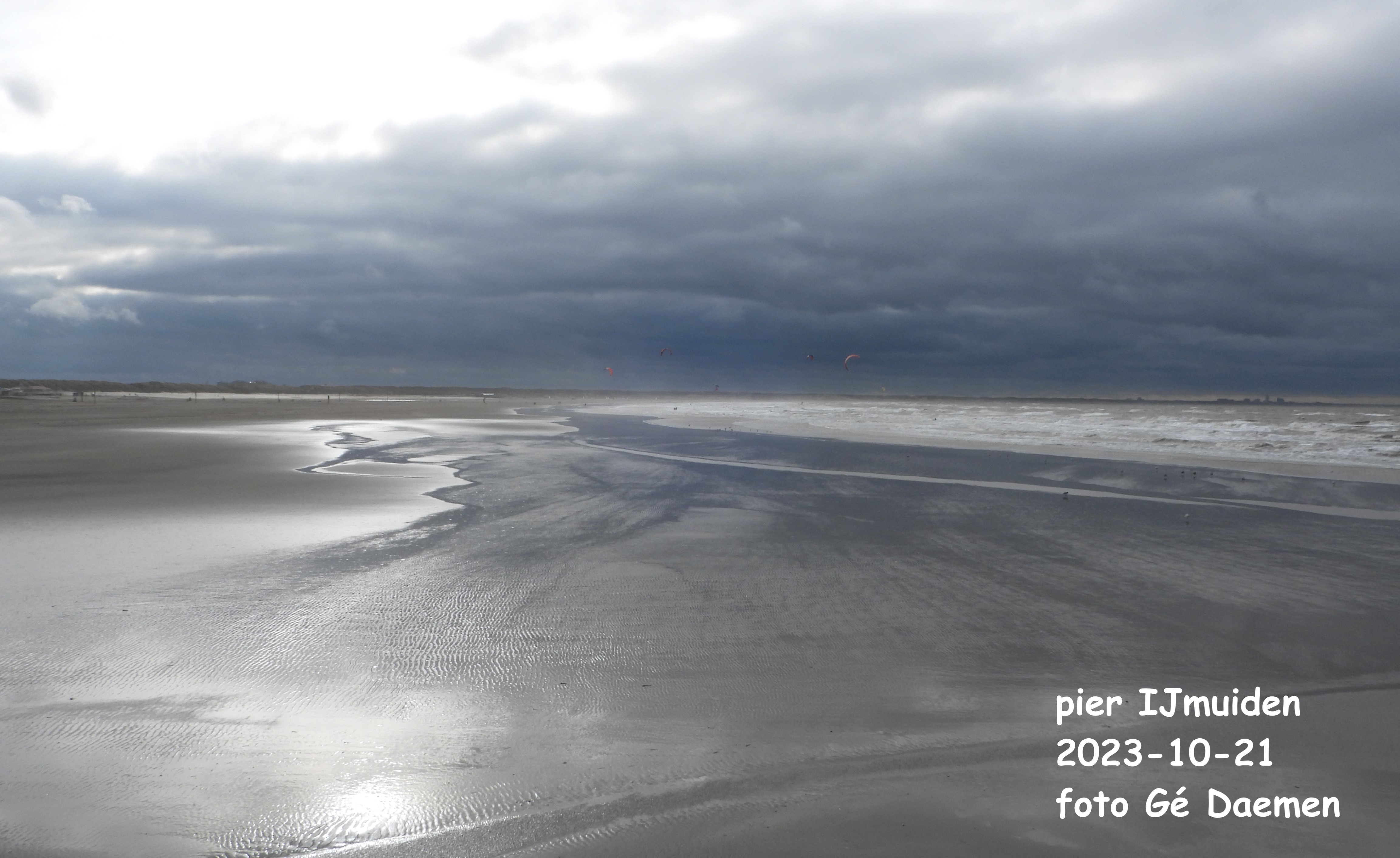 Vogelexcursie pier van IJmuiden 2023-10-21